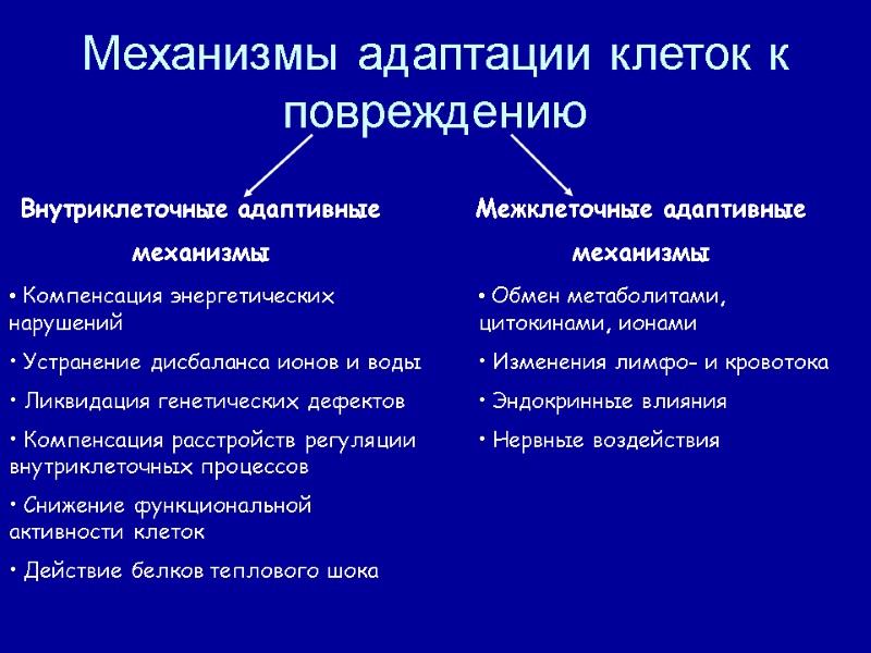 Механизмы адаптации клеток к повреждению Внутриклеточные адаптивные механизмы Межклеточные адаптивные механизмы  Компенсация энергетических